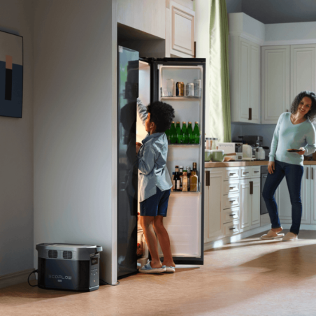 Station électrique portable DELTA 2 MAX - EcoFlow