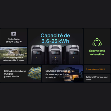 Station électrique portable DELTA PRO - EcoFlow