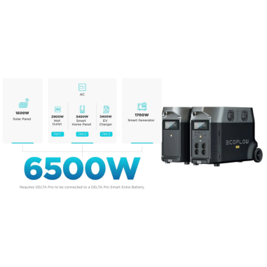 Station électrique portable DELTA PRO - EcoFlow