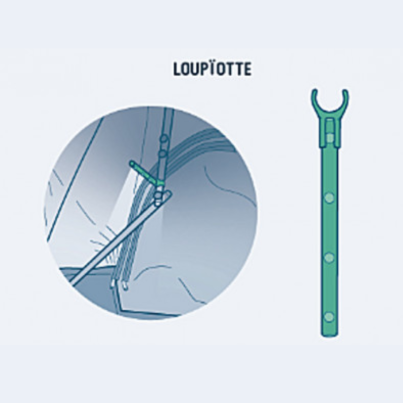 Loupiotte Quatrö / Family - NaïtUp