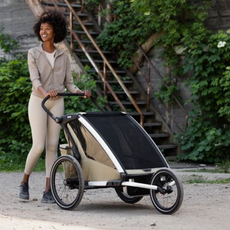 Remorque Vélo Thule Cross 2 Double - Thule