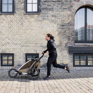 Remorque Vélo Thule Cross 2 Double - Thule