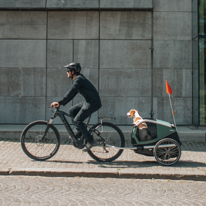 Remorque Vélo pour Chien Bexey - Thule