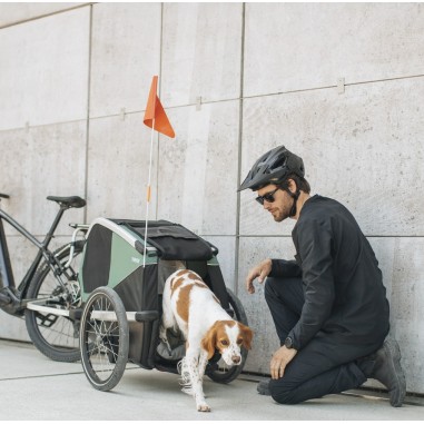 Remorque Vélo pour Chien Bexey - Thule