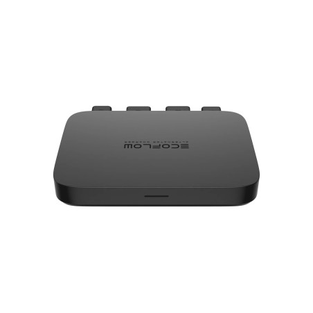 Chargeur d’alternateur 800 W - EcoFlow