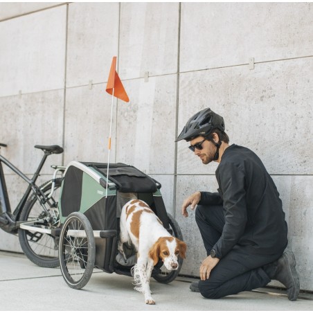 Kit poussette de Remorque Vélo pour Chien Bexey - Thule