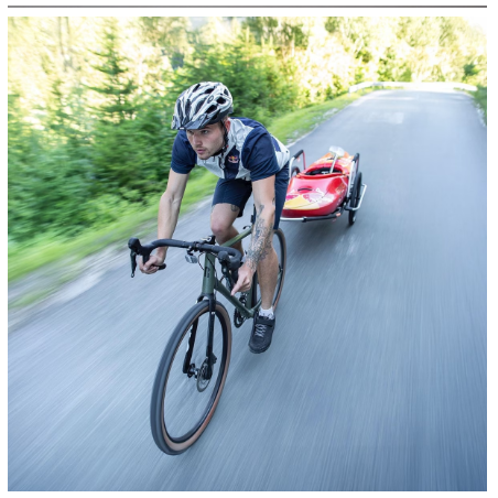 Remorque Reacha Sport - Thule