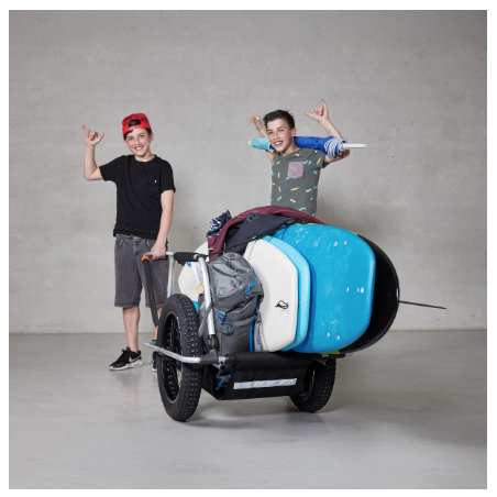 Remorque Reacha Sport Beach - Thule