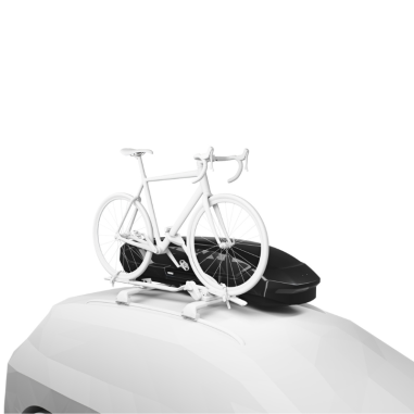 Coffre de Toit Motion 3 Sport (300L) - Thule