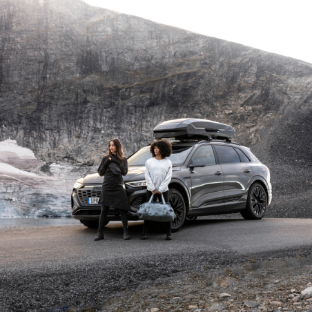 Coffre de Toit Motion 3 L (450L) - Thule