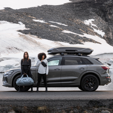 Coffre de Toit Motion 3 L (450L) - Thule