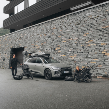 Coffre de Toit Motion 3 L (450L) - Thule