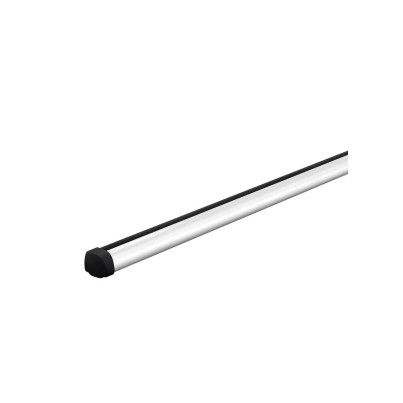 Barres de Toit ProBar Evo avec pieds Raingutter - Thule 2