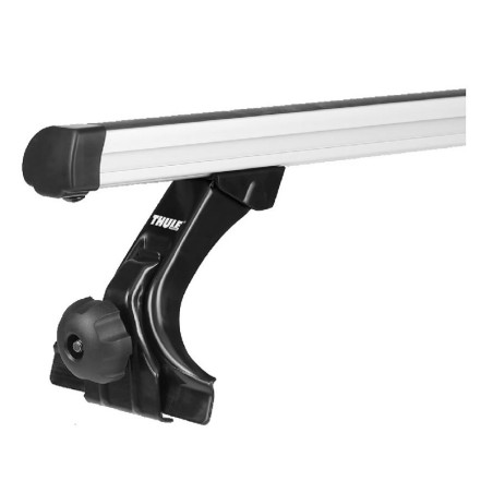 Barres de Toit ProBar Evo avec pieds Raingutter - Thule